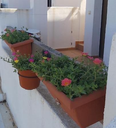 Condado De Alhama, Naranjos 8 Apartment Alhama de Murcia Luaran gambar
